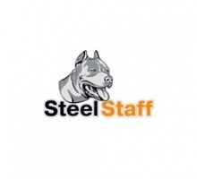 Steel Staff